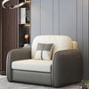 Caio Two Seater Sofa Bed, Single Sofa Bed, Leathaire | DodiTec WC1