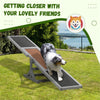 Wooden Dog Agility Seesaw