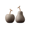 Decoration: Pear And Apple | DodiTec WC1