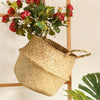 MI44 A Set Of Two Rattan Indoor Plant Stands | DodiTec WC1