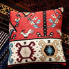 MIN12 Cushions, More Patterns Available | DodiTec WC1