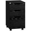 DodiOnline 3 Drawer Storage Cabinet with Wheels for Home Office, Black