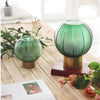 XI72 Decoration: Vase, Green | DodiTec WC1