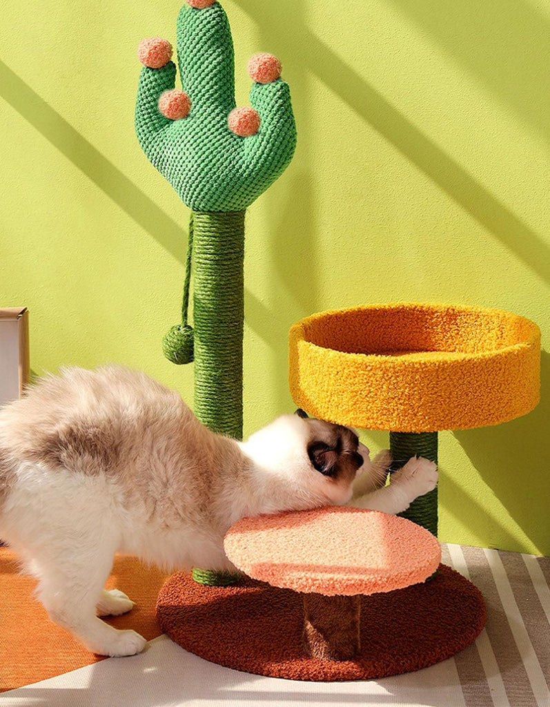 Ola's Cactus with Bed, Cat Toy, Climbing tree-Weilai concept-Weilai concept