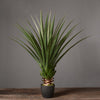 Decoration: Artificial Plant- | Get A Free Side Table Today