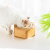 IA71 Pet Furniture- | Get A Free Side Table Today