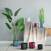 MI48 A Set Of Four Indoor Plant Stands- | Get A Free Side Table Today