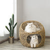 ON32 Pet Furniture- | Get A Free Side Table Today