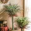 RG93 Artificial Plant- | Get A Free Side Table Today