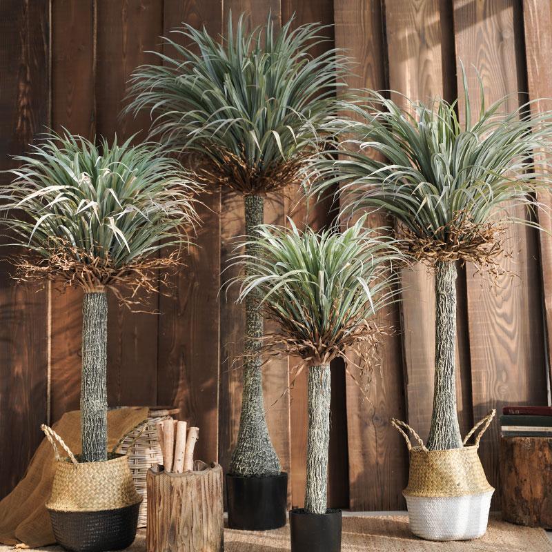 RG93 Artificial Plant- | Get A Free Side Table Today