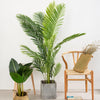 TU13 Artificial Plant- | Get A Free Side Table Today