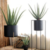 TU23 Artificial Plant- | Get A Free Side Table Today
