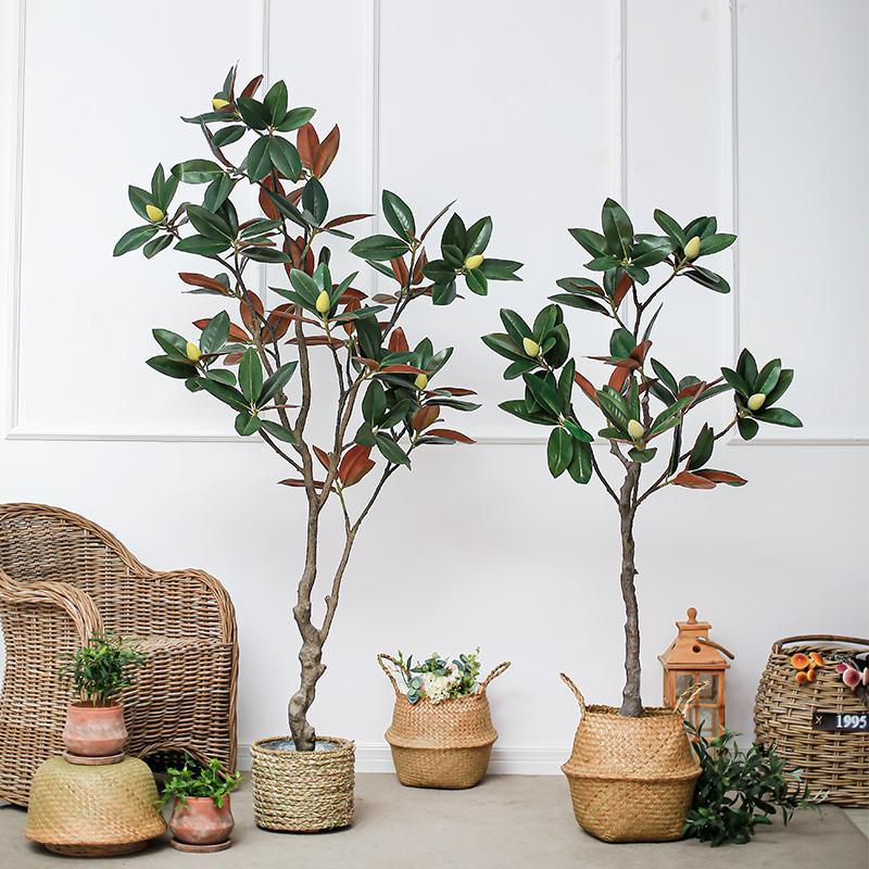 TU801 Artificial Plant- | Get A Free Side Table Today