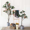 TU801 Artificial Plant- | Get A Free Side Table Today