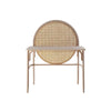 Vallee Rattan Office Desk- | Get A Free Side Table Today