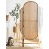 Walsh Rattan Room Divider/ Screen- | Get A Free Side Table Today