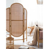 Walsh Rattan Room Divider/ Screen- | Get A Free Side Table Today