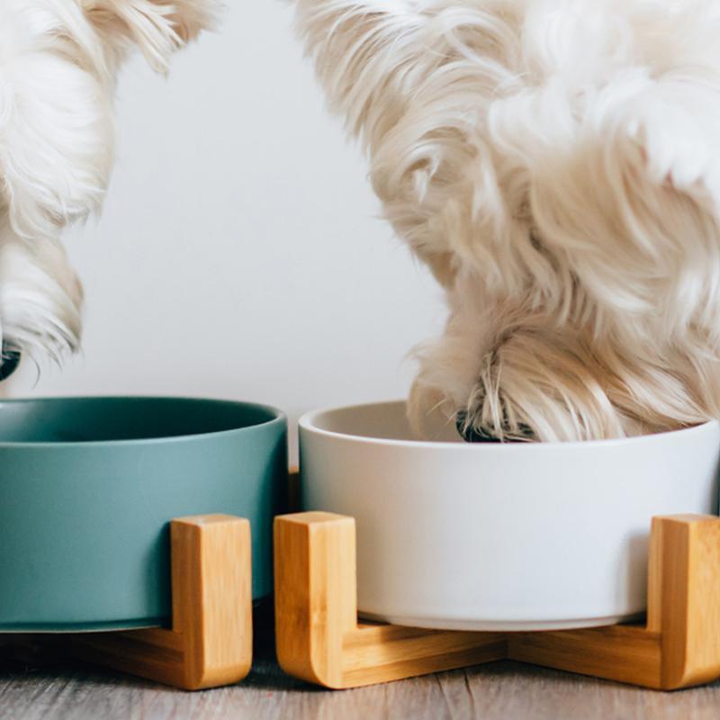 XI15 Pet Food Bowl- | Get A Free Side Table Today